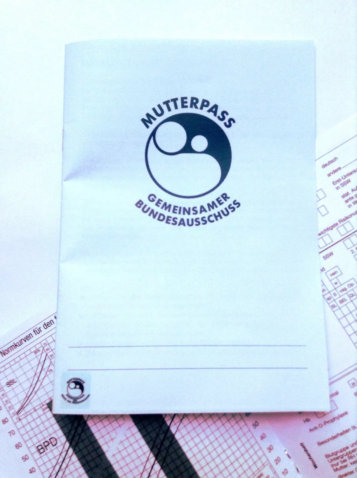 Mutterpass â Schwangerschaftsbuch zur Erinnerung, stilvolles Geschenk fĂŒr werdende MĂŒtter