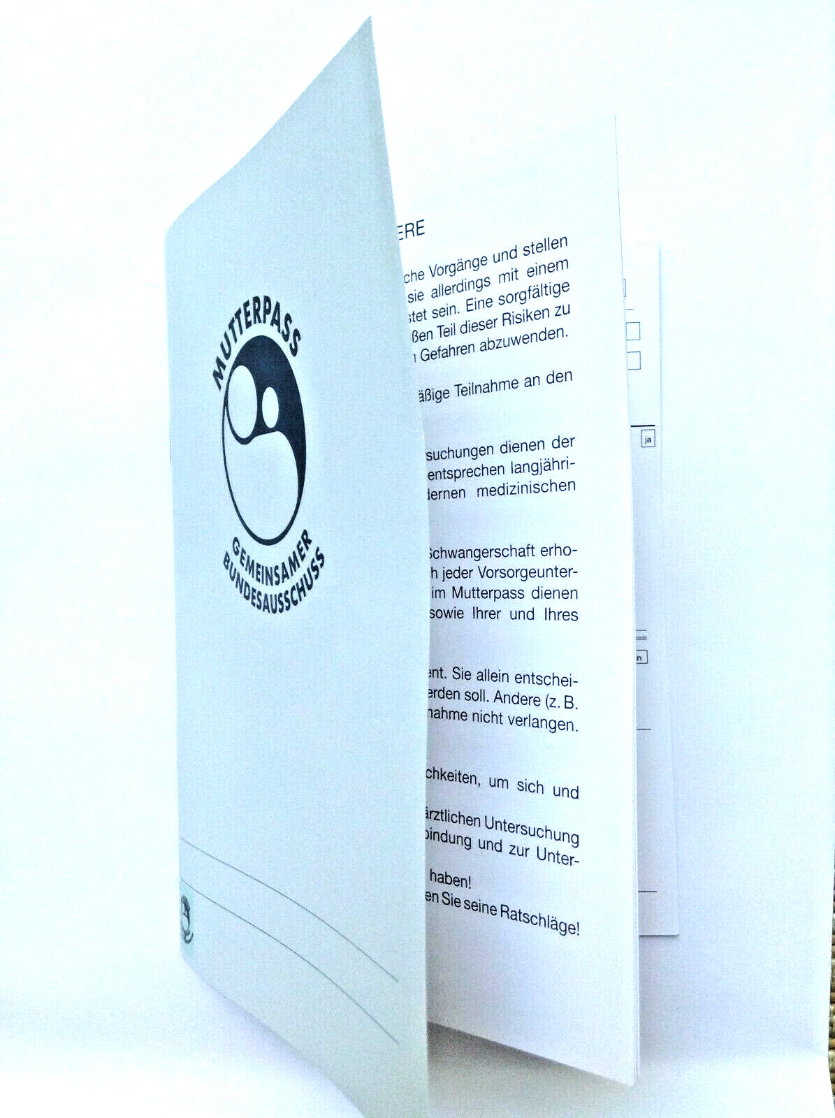 Mutterpass â Schwangerschaftsbuch zur Erinnerung, stilvolles Geschenk fĂŒr werdende MĂŒtter